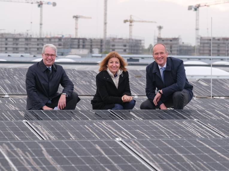 Eine Frau und zwei Männer hocken zwischen Solarzellen.