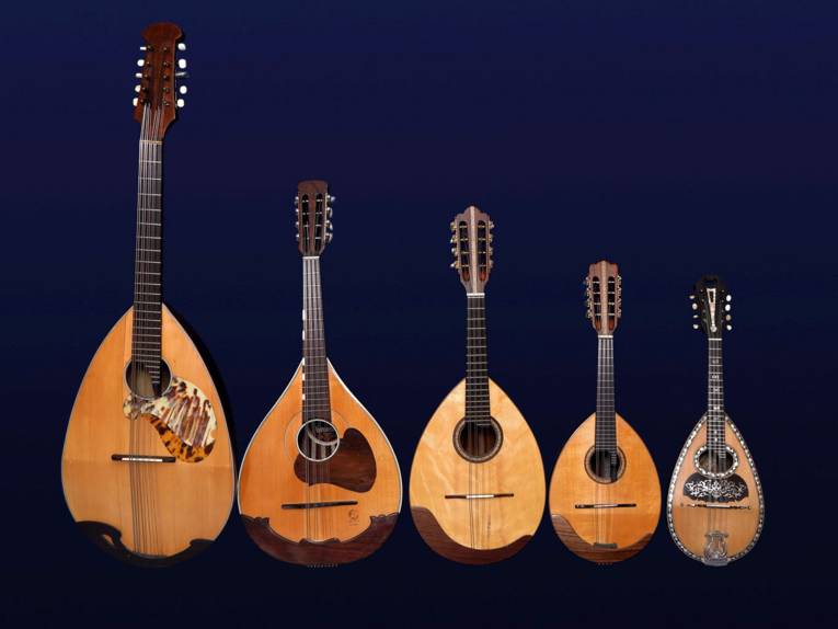 Die Mandoline - Instrument des Jahres 2023