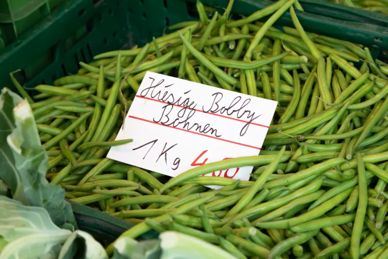 Frische Bohnen und das dazugeh&ouml;rige Preisschild.