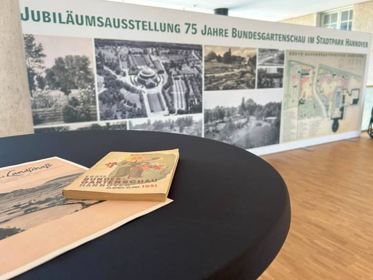 Blick in eine Ausstellung.