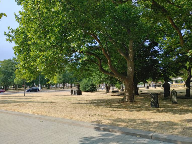 Alter Friedhof mit Grabsteinen, Bäumen und vertrocknetem Gras im Sommer