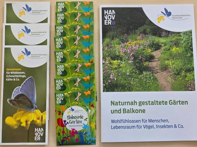 Broschüren und Flyer.