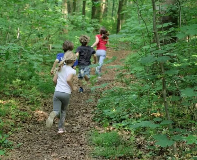 Kinder im Wald.