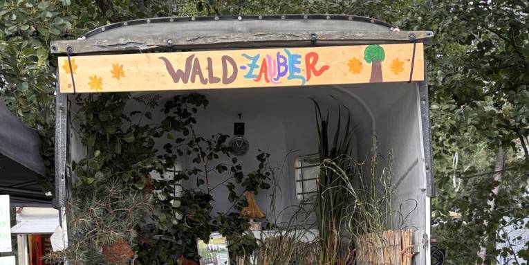 Blick in einen Pferdeanhänger, darin sind Exponate zum Thema Wald.