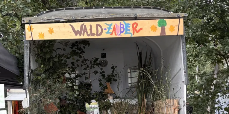 Blick in einen Pferdeanhänger, darin sind Exponate zum Thema Wald.