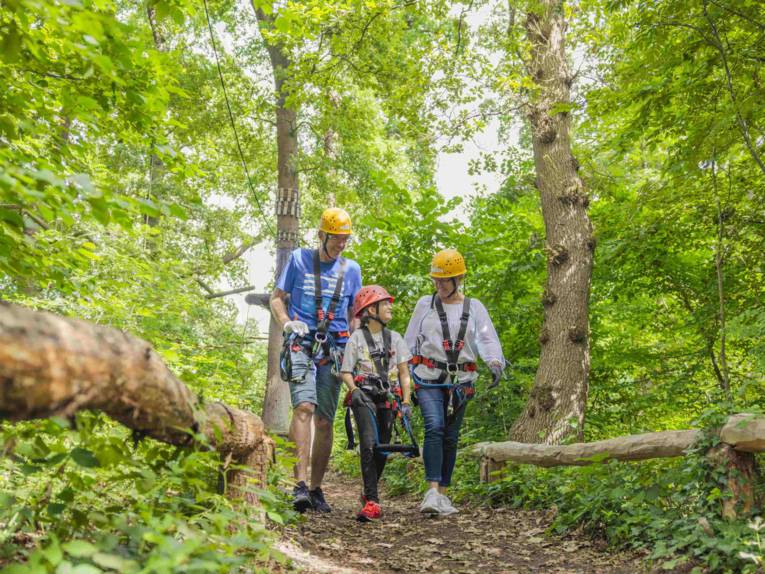 Drei Personen tragen Ausr&uuml;stung zum Klettern und gehen einen Weg im Wald entlang.