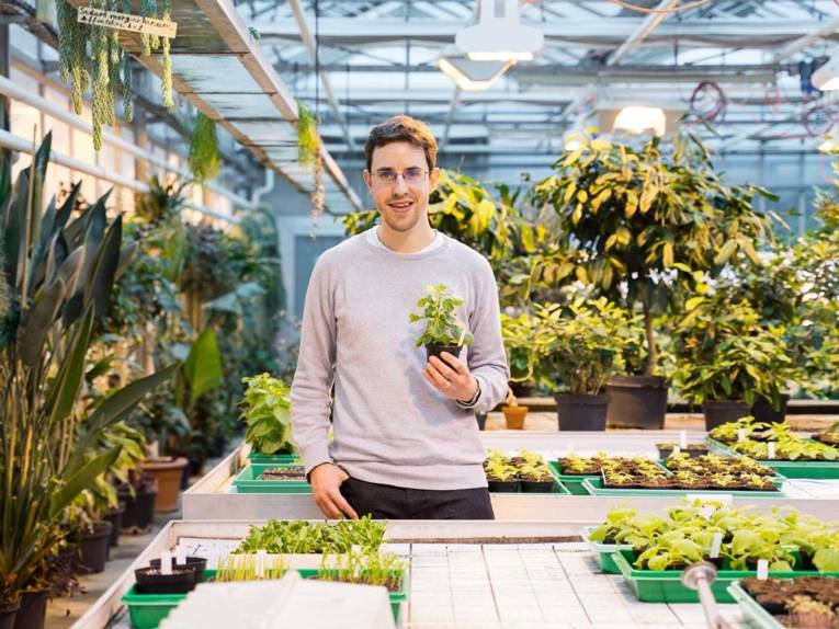 Ein Mann steht in einem Gewächshaus an einem Tisch und hält eine Topfpflanze in der Hand.