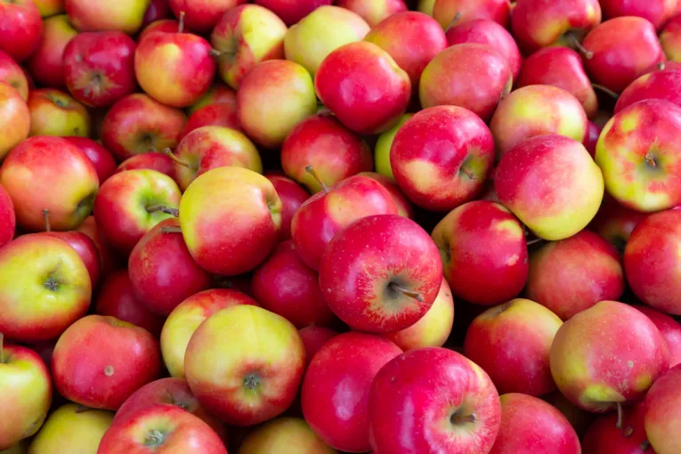 Frische, rote &Auml;pfel