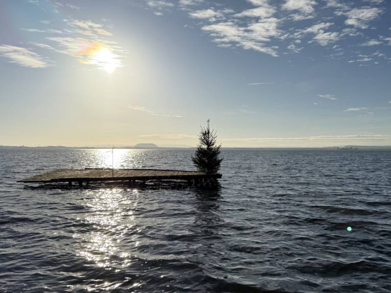 Auf einem Steg im Steinhuder Meer ist ein Tannenbaum.