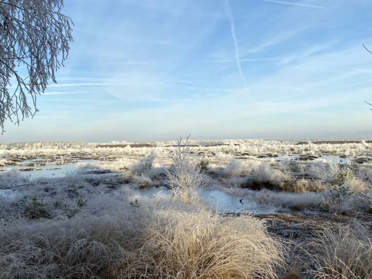 Eine Moorlandschaft ist mit wei&szlig;en Eiskristallen &uuml;berzogen, B&uuml;sche, Str&auml;ucher und andere Pflanzen wirken wie von Puderzucker best&auml;ubt. Dazwischen sind offene Wasserfl&auml;chen.