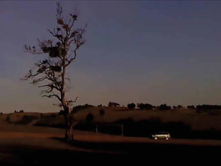 Ein einzelner, kahler Baum steht in einer weiten, offenen Landschaft im warmen Licht der Dämmerung. Am unteren rechten Bildrand fährt ein kleines Auto vorbei, während der Himmel in weichen Blau- und Violetttönen ausläuft.