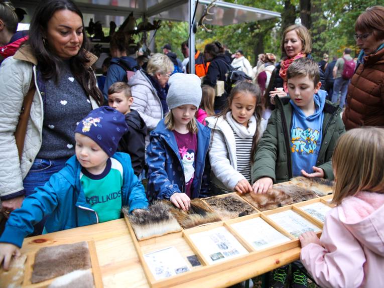 Kinder an einem Stand mit verschiedenen Fellproben.