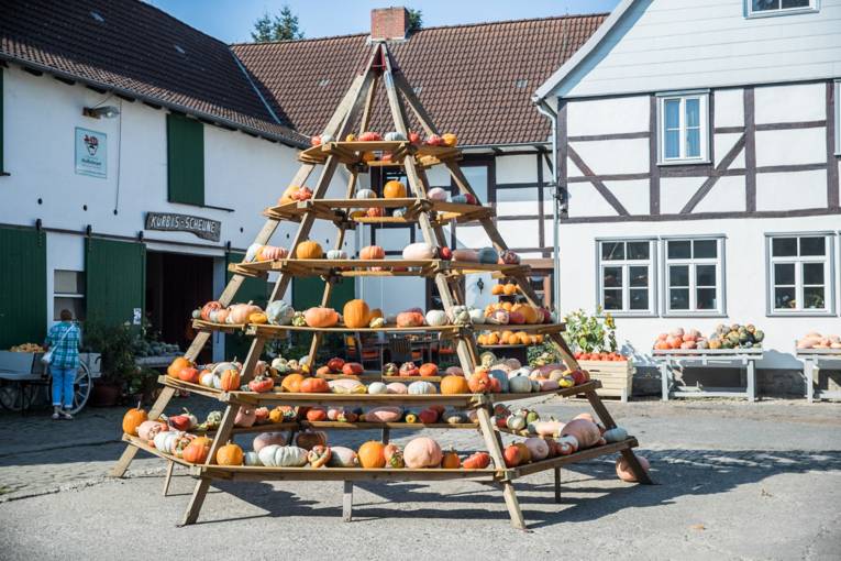 Pyramide aus Kürbissen