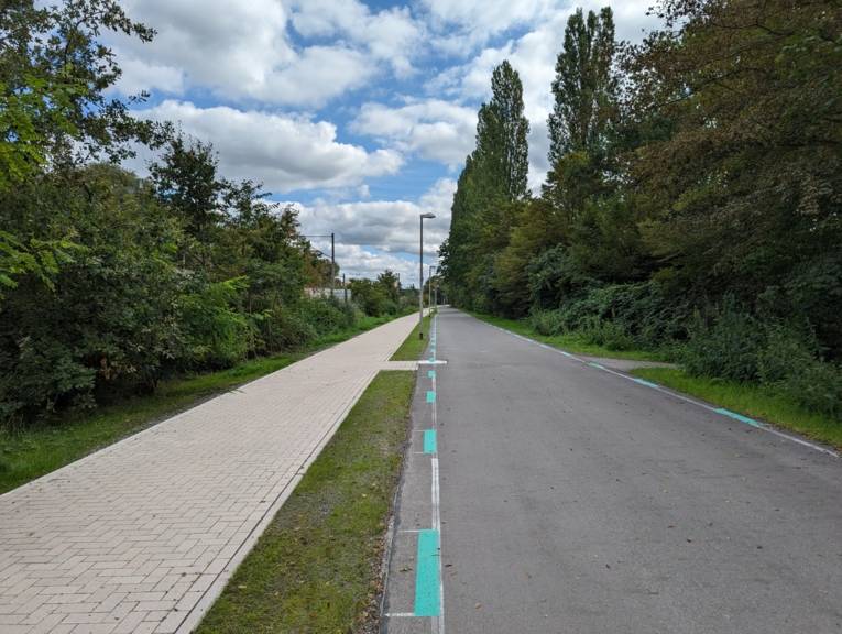 Links ein gepflasterter Fußweg, in der Mitte ein schmaler Rasenstreifen, Straßenlaternen, rechts eine asphaltierte Straße. Die Wege sind links und rechts umrandet von Bäumen und Büschen.