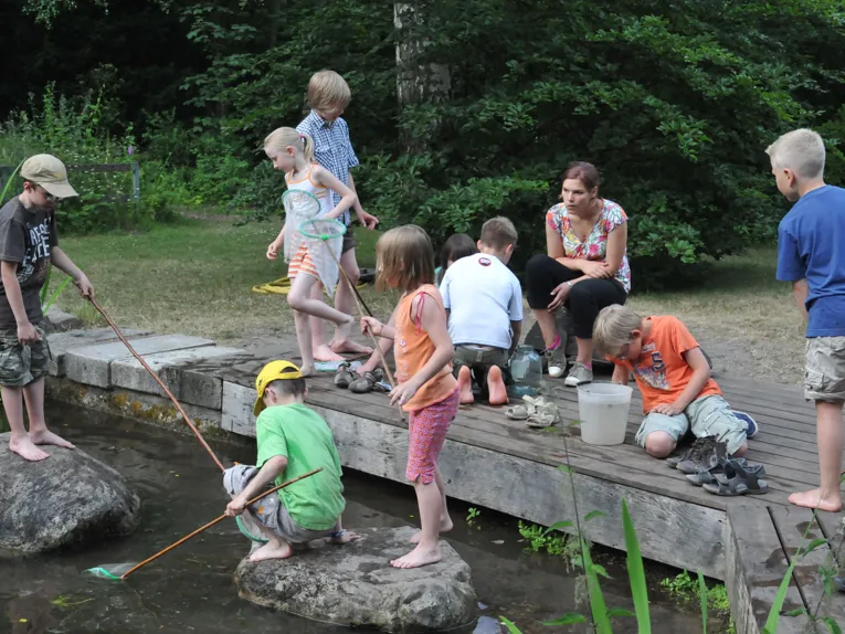 Kinder beim Keschern