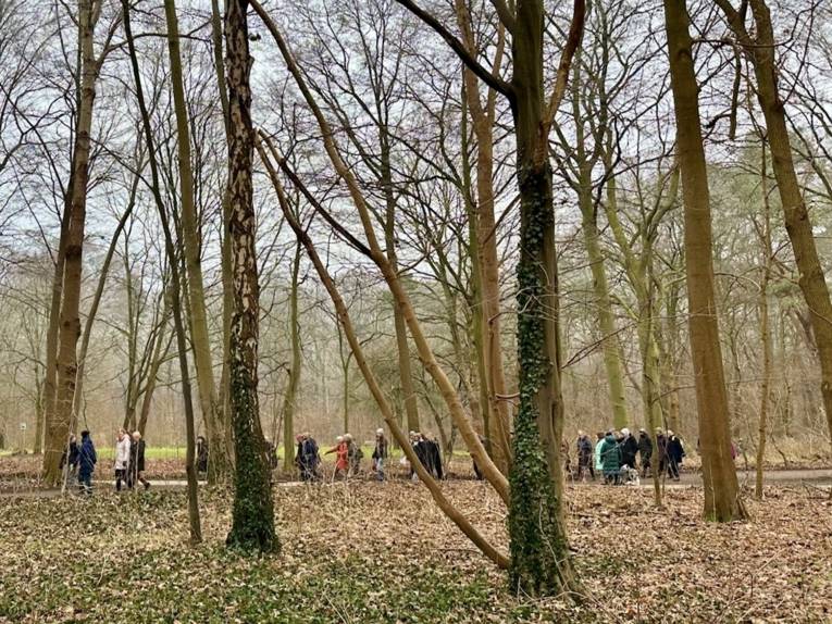 Walk&Talk Frauen Spaziergang Walking Begegnung Einsamkeit Treffen Spazierengehen