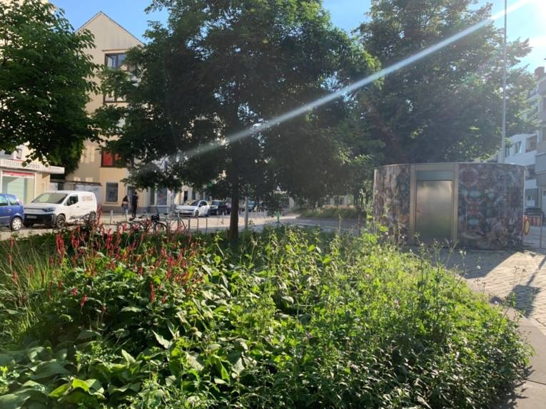 Ein Beet mit hochwachsenden Grünpflanzen und Blumen und Bäumen auf einem Platz vor Häusern und einer Straße.