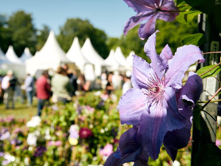 Gartenfestival 2022