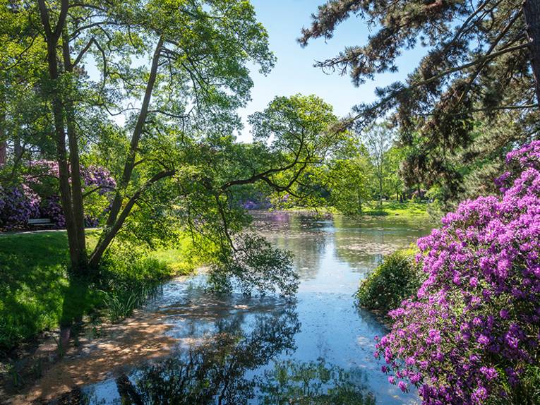 Eine grüne Friedhofsanlage.