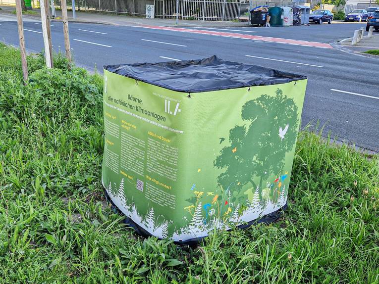 Ein Bewässerungscontainer auf einer Grünfläche im Stadtgebiet.