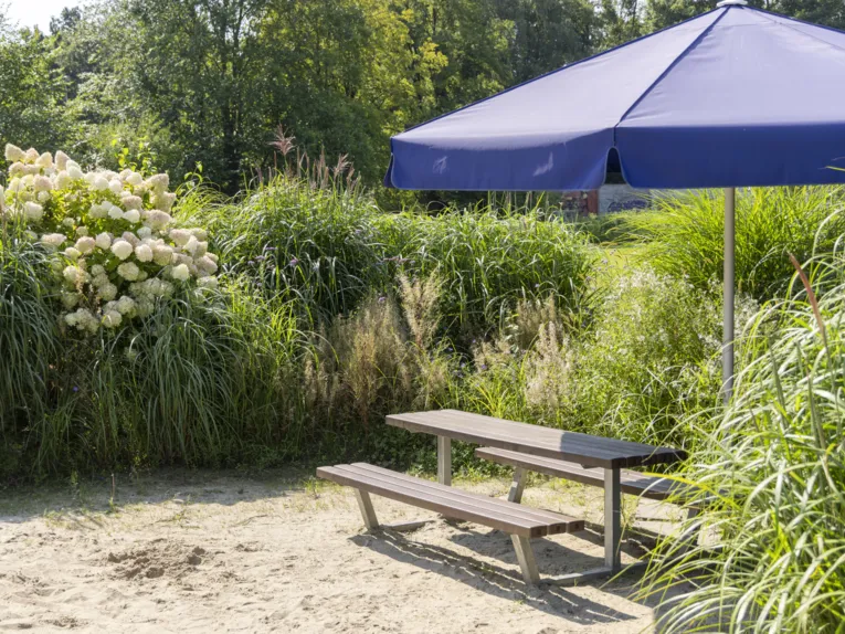 Zwei B&auml;nke, ein Tisch, ein Sonnenschirm auf einer Sandfl&auml;che stehend, die von hohen Gr&auml;sern und Bambus umgeben ist.