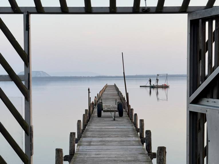 Blick über einen Steg am Steinhuder Meer