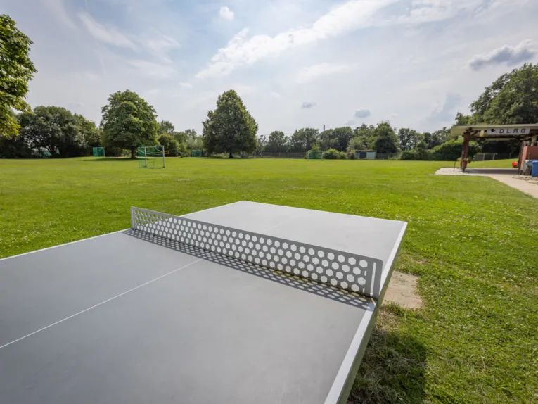 Tischtennisplatte auf einer Rasenfl&auml;che