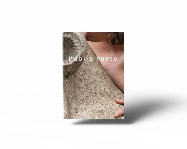 Buch Vorstellung Kunst Publikation Public Parts