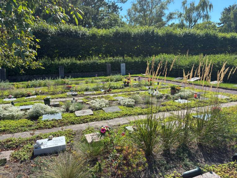 Eine Gräberfläche mit viel Grün.