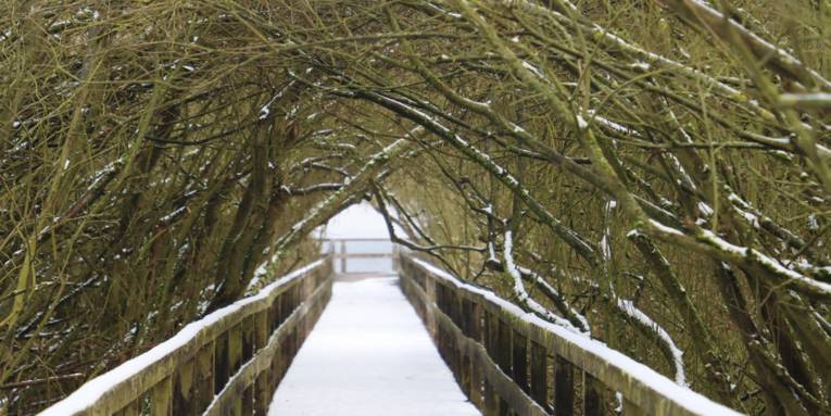 Blick auf einen verschneiten Steg