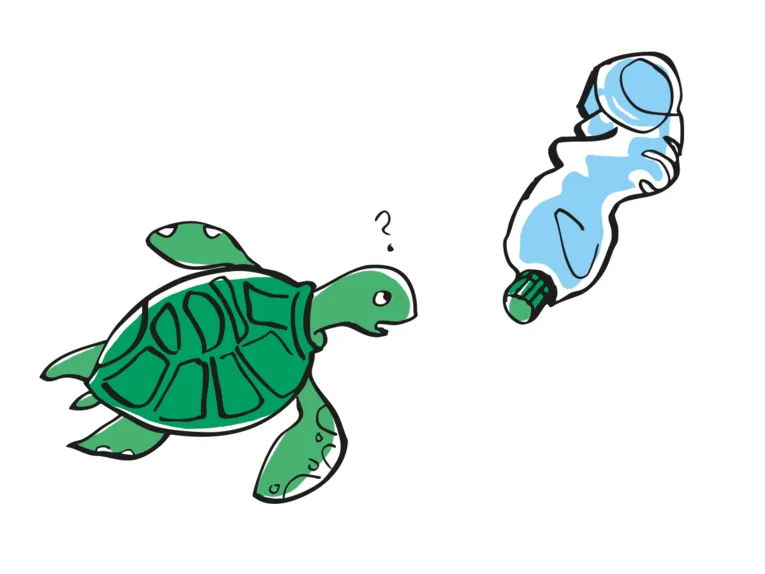 HOP