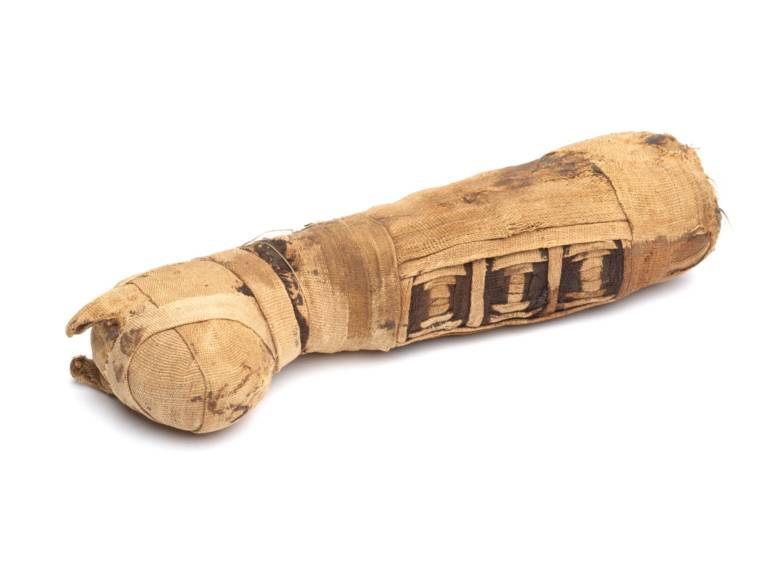 Mumie einer Katze, Ägypten, 2. – 1. Jh. vor Chr. Museum August Kestner