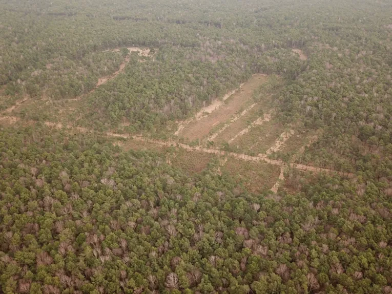 Altwarmbüchener Moor Luftbild