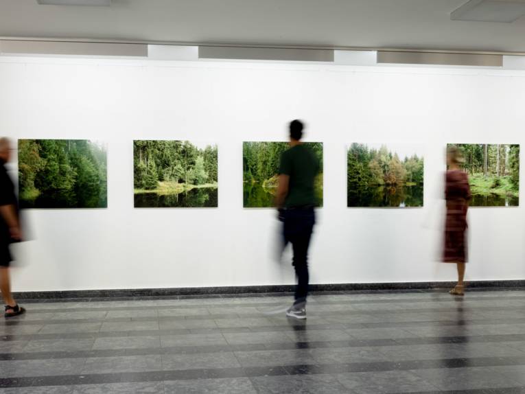 Landschaftsbilder mit Teichen und Wäldern hängen nebeneinander an einer weißen Wand. Besucherinnen und Besucher dieser Kunstausstellung im Regionshaus sind durch ihre Bewegungen unscharf abgelichtet.