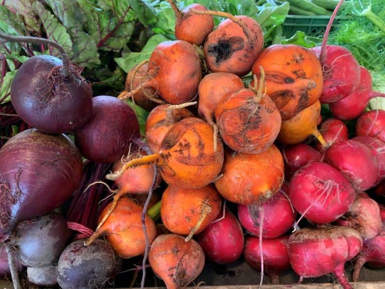 Diverse Bete-Sorten