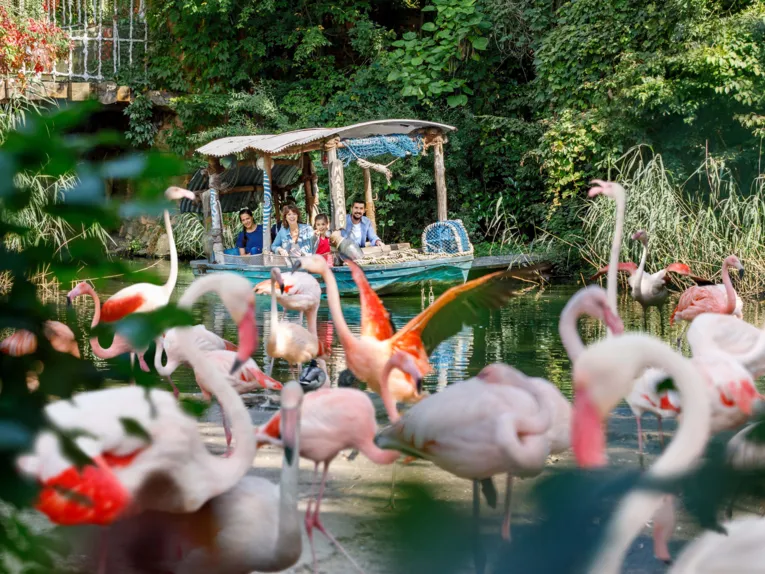 Bootsfahrt im Erlebnis-Zoo