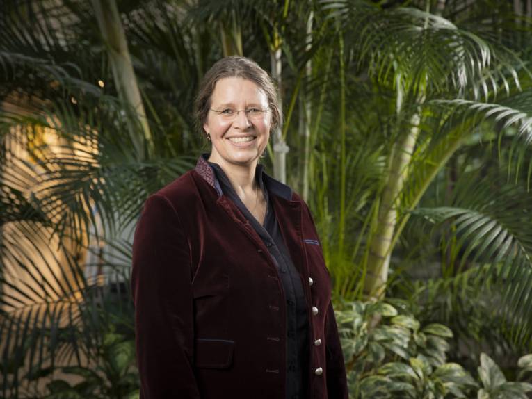 Prof. Dr. Anke Seegert