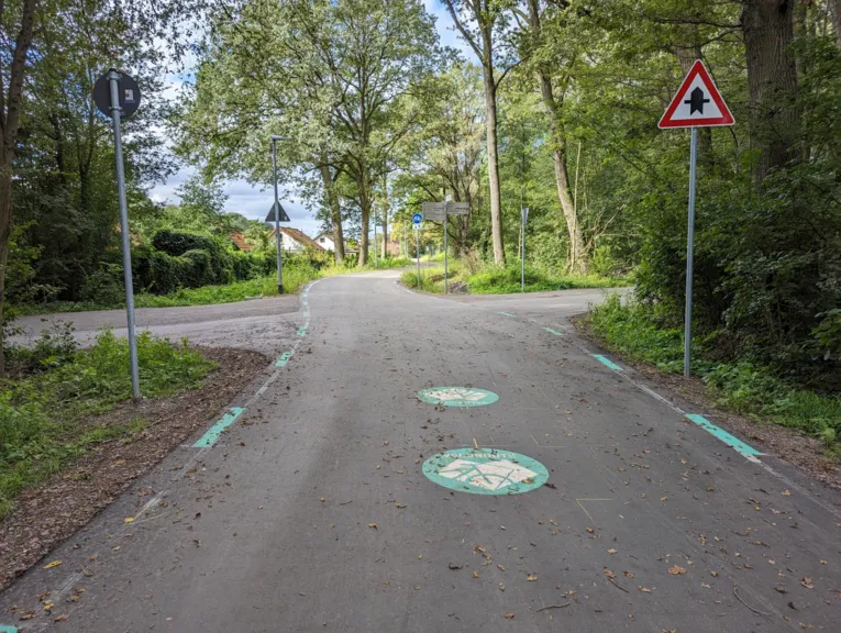 Asphaltierte Wege kreuzen sich. An allen Seiten sind B&auml;ume und B&uuml;sche, Beschilderung und eine Stra&szlig;enlaterne. Auf dem Asphalt sind zwei Velorouten-Zeichen aufgemalt.
