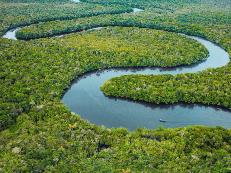 Luftaufnahme: ein schlangenliniger Fluss im Regenwald
