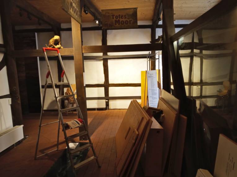 Erste Fr&uuml;hlingsboten bl&uuml;hen auf dem Waldboden, der nach dem Winter langsam wieder gr&uuml;nt. Im Hintergrund ist ein kleines Flie&szlig;gew&auml;sser.