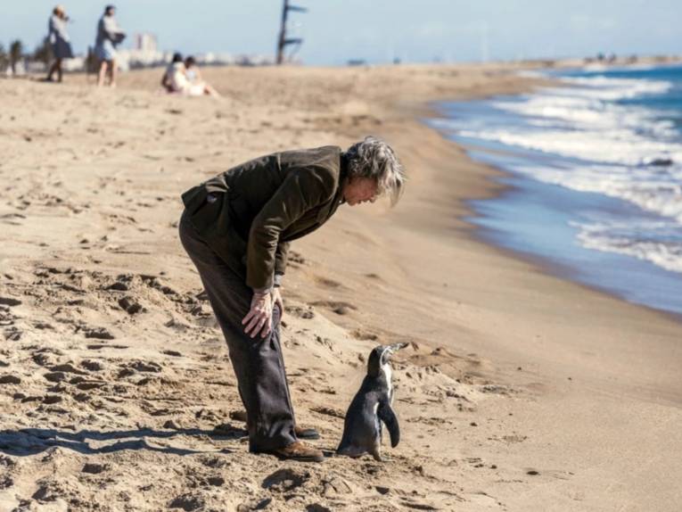 Ein Mann steht mit einem Pinguin an einem Sandstrand am Meeresufer.