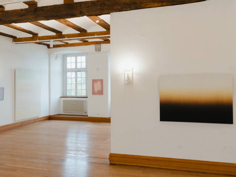 Ausstellung im Schloss Landestrost