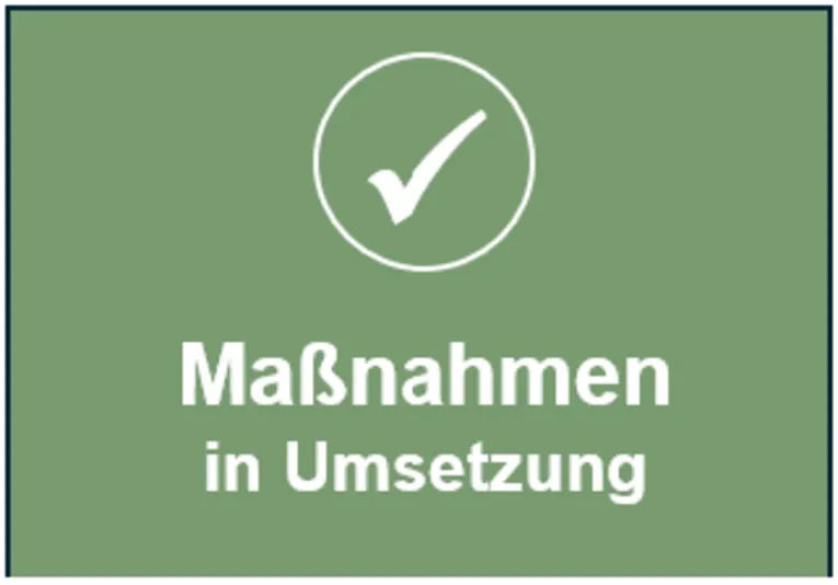 Graphik zu den umgesetzten Maßnahmen