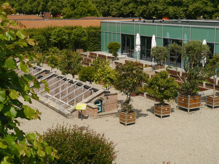 Feigengarten an der Schlossküche