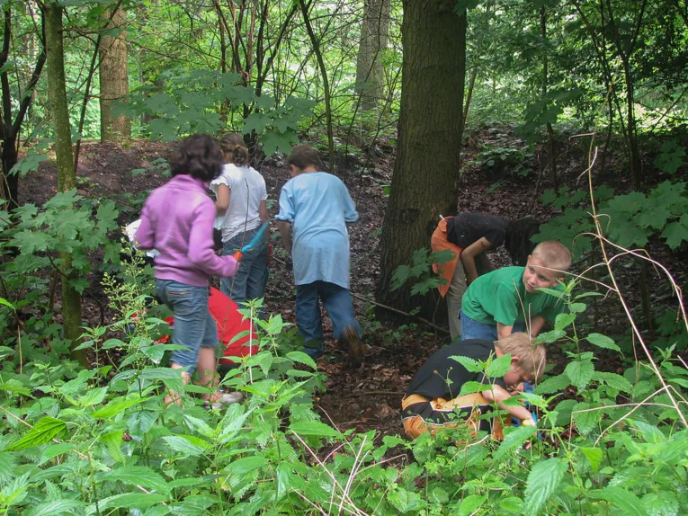 Kinder im Wald.
