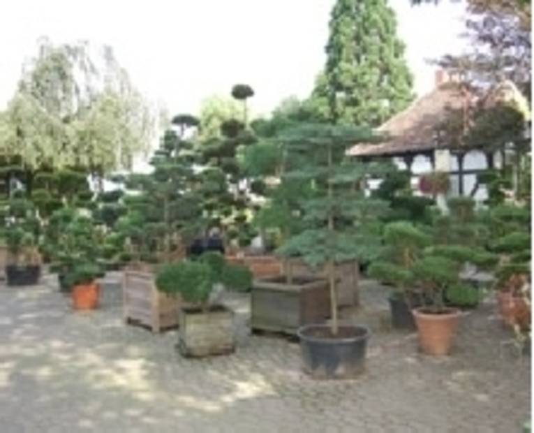 Baumschule Gehlhaar OHG_Außenansicht