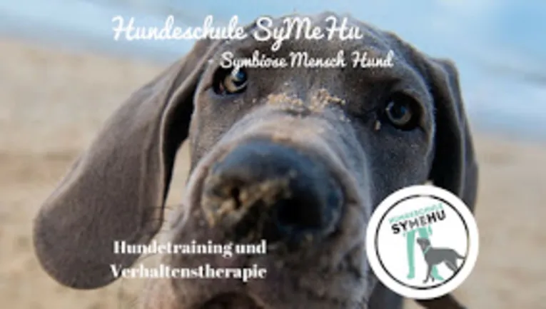 Hundeschule Hannover
