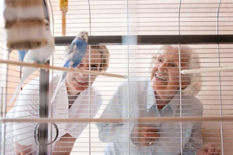 DANA Pflegeheim Fridastraße 