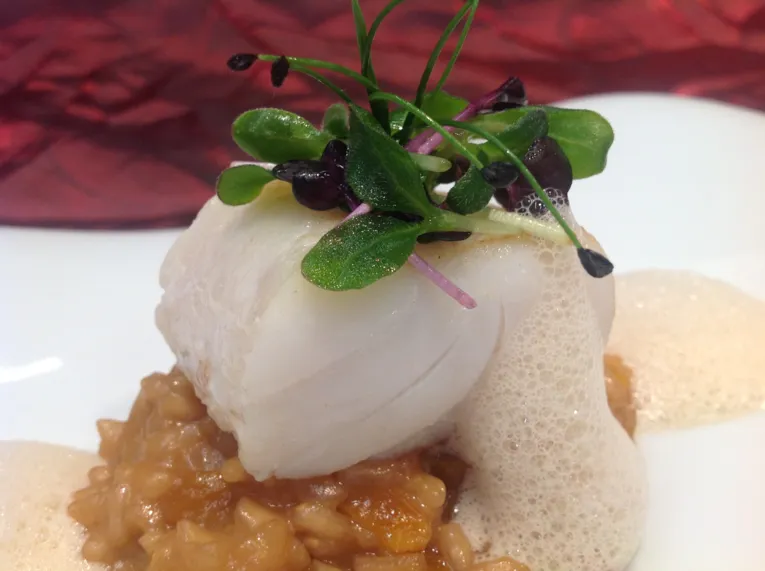 M.E.C.S. – Maritim Event & Catering Service_angerichtete Speise