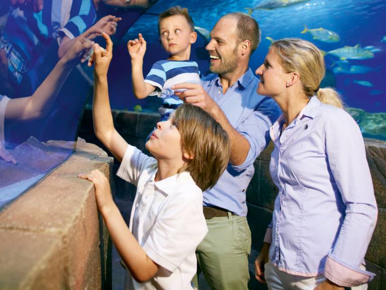 Familie im Sea Life Hannover